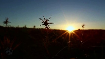 Teaser : Chhiwat Bladi : Taliouine شهيوات بلادي : تالوين