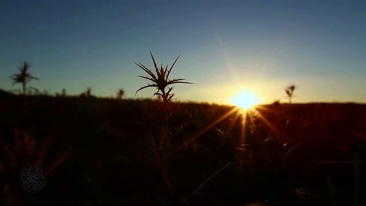 Teaser : Chhiwat Bladi : Taliouine شهيوات بلادي : تالوين