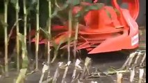Corn Harvesting Machine | Super Harvesting Machine