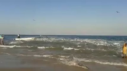 Amazing Sea Fishing | Best Fishing Sightseeing