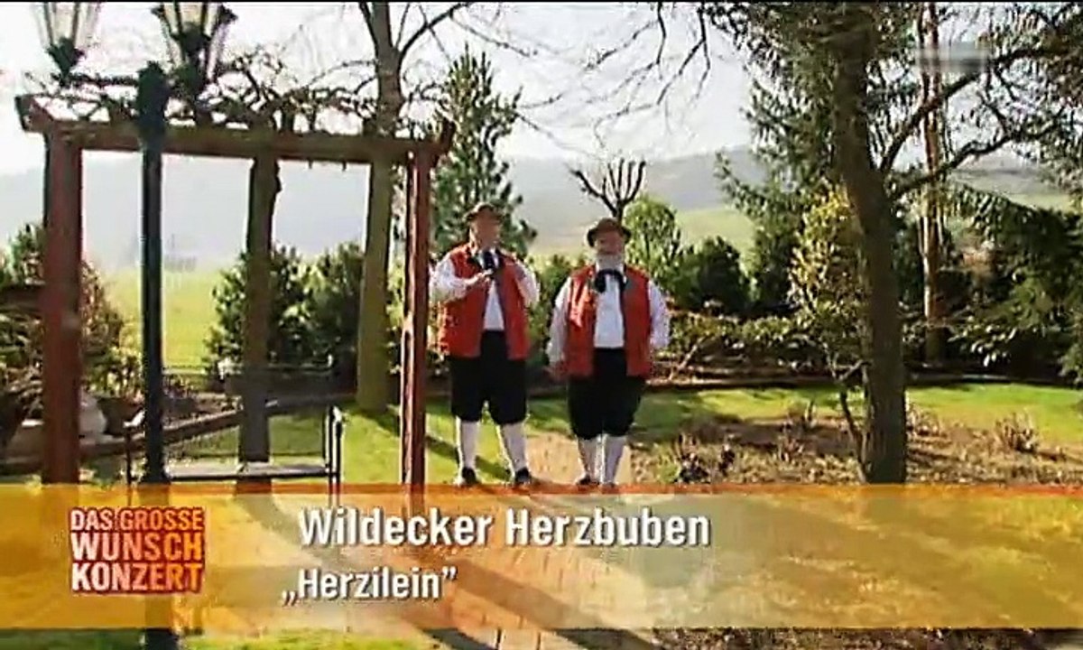 Wildecker herzbuben - herzilein 2004