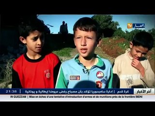 جزائريون- خنازير برية تفرض حظر التجوال على المواطنين والعودة الى المنزل قبل غروب الشمس