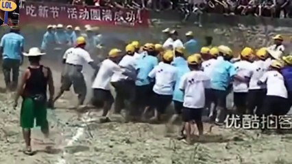 Animal attacks on Humans Animal attacking people 2015