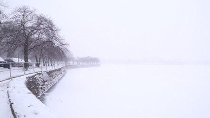 The snow monster plows into D.C.
