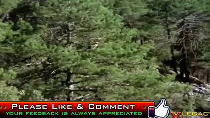 Eagle Attacks Giant Snake Real Fight