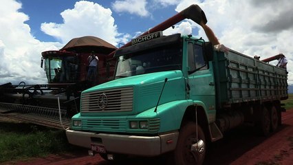 FMI diz que AL manterá crescimento lento por longo período