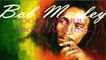 three little birds - Bob Marley - track and karaoke lyrics -pista y letra
