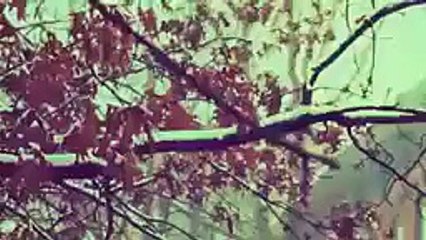 Maulana Tariq Jameel Sb Byan