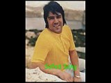 Ahmad Zahir - Afghan Music Albom. 12