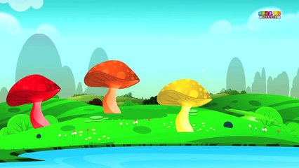 Rainbow Song | Color Song | Rainbow Color Song