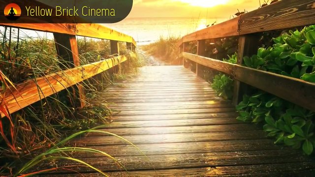 15 Minute Meditation Music Relax Mind Body: Relaxing Music, Soothing Music, Relaxation Mus