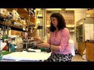 Amazing World Animal Communication Discovery Documentary HD 2015