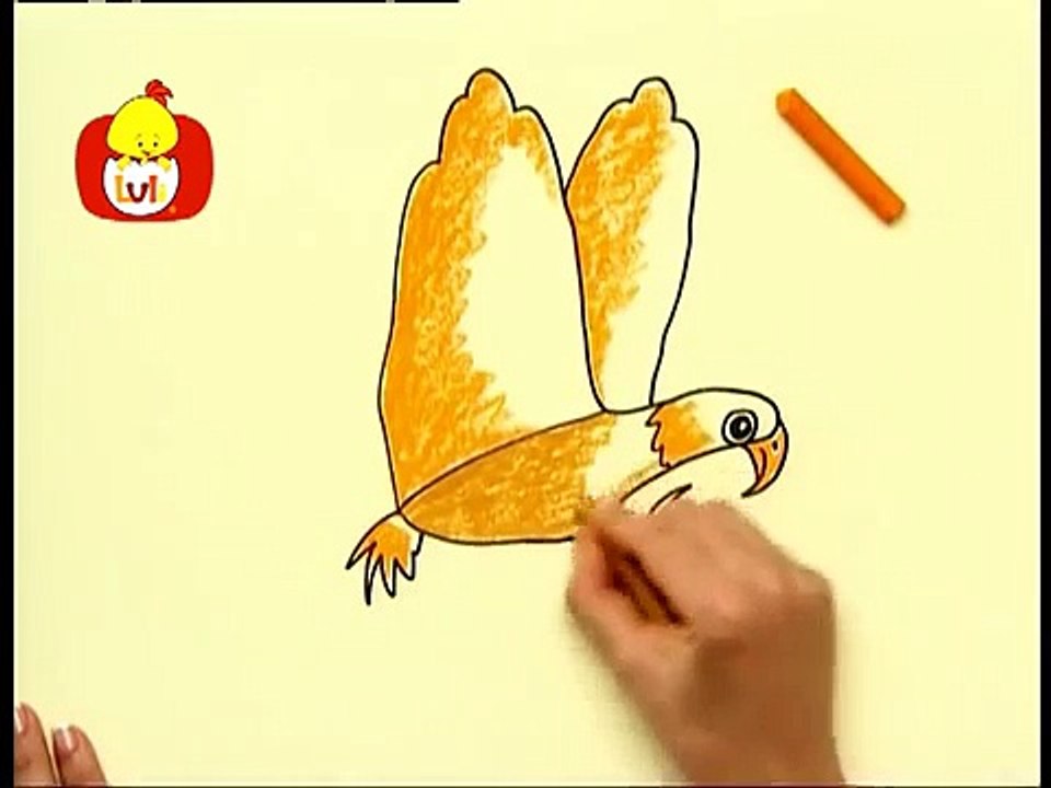 Koleżki na dłoni : Wieloryb i orzeł, dla dzieci