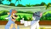 قصص توم و جيري القط توم النجم ( حلقة كاملة وجديدة ) Tom jerry cartoon movie 2013 09 10