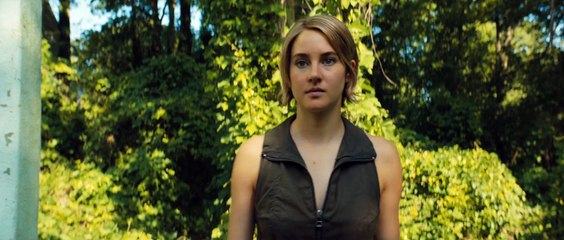 The Divergent Series Allegiant – “Tear Down The Wall”