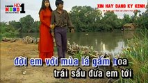 NDBD _ Lo Chuyen Do Tinh - Truong Vu _ Karaoke HD_ Beat Goc