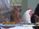 Should backyard chickens be allowed at homes