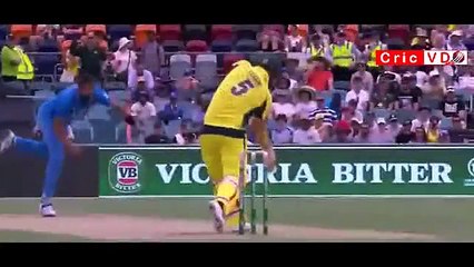 Ball hits the bowler, umpire and then stumps -Npmake