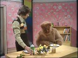 Learn the 5 senses Sight, Sound, Smell, Taste & Touch with Zippy & Bungle | Rainbow Childrens TV