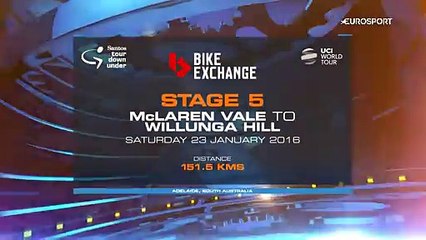 2016 Santos Tour Down Under - Stage 5 : crash bike exchange