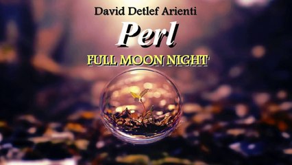 Davide Detlef Arienti - The Moon Night - Perl (Epic Beautiful Mysterious Emotional 2015)