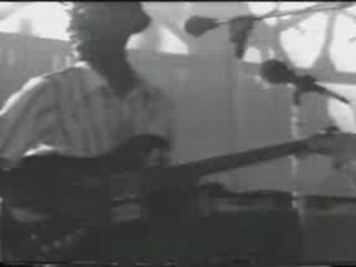 Hound Dog Taylor - Taylor's Rock