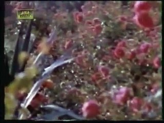 Meri Badal Gai Chal by shahid jutt sialkot
