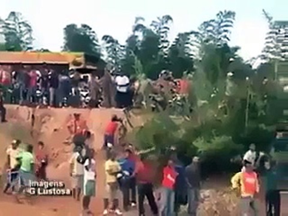 Biggest Python Found by Villagers