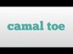 camal toe meaning and pronunciation