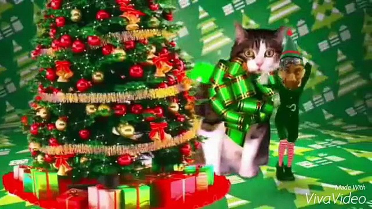 WeihnachtsKatzentanz Special - LET YOU Go 2015