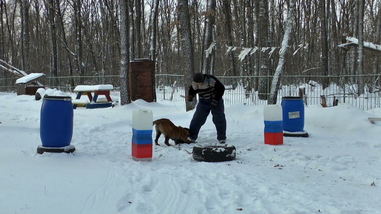 Вайпер
