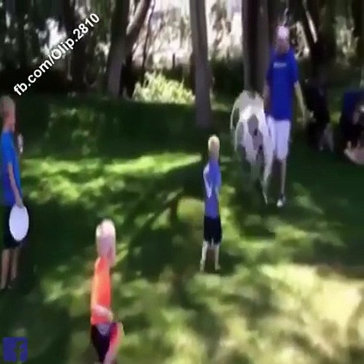 Fails