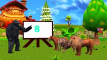 King Kong Cartoons Finger Family Nursery Rhymes | 123 Songs For Children Twinkle Twinkle Little Star