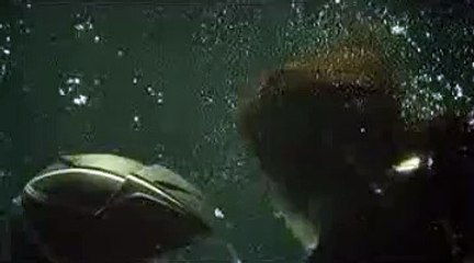 바카라시스템배팅¡¡¡《 K E B 2 3。C O M 》¡¡¡바카라사이트