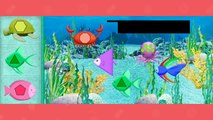 Umizoomi : Aquarium - pour enfants en français