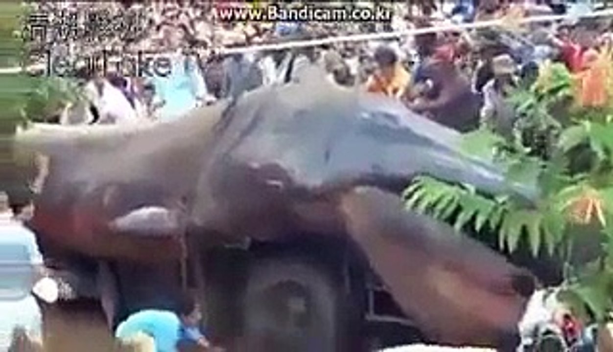 Gigantic worm appears in Nepal