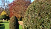National Trust Gardening Tips: Topiary