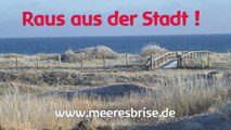 Ostsee im Winter - Raus aus der Stadt