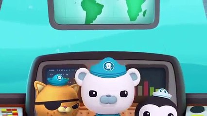 Octonauts @@@ Season 4 Episodes 5 The Walrus Pups @@@ Octonauts 2016