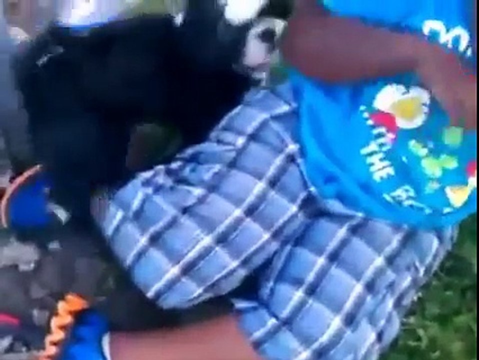 Funny HORNY Dogs - Funny Compilation Of Dogs | FailCentral