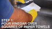 He Pours Out A Gallon Of Vinegar Into A Toilet. When He Shows Why- I Ran To Try It Myself