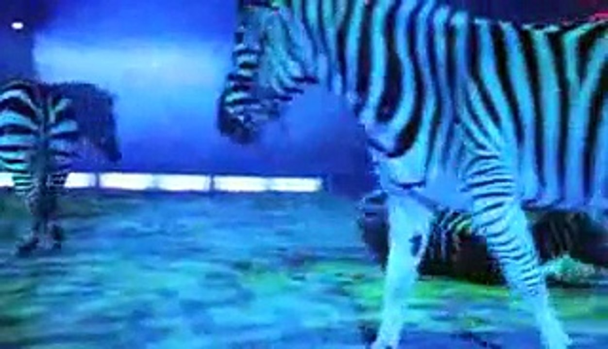 lucky irani circus (7)