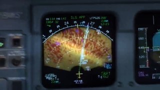 Air France A32Landing @ Paris CDG 26R - Crosswind from cockpit  Video Arts