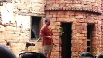 Parrot sings a song for the audience
