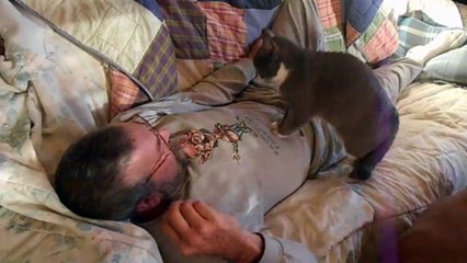 Funny Videos - Cat Gives Man CPR