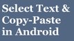 How to select, copy and paste text in Android?