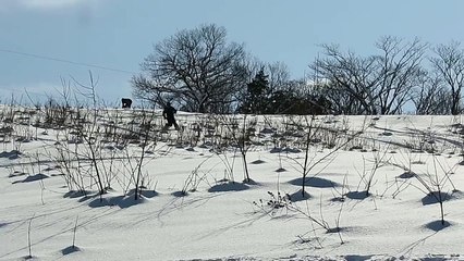 20160123 Torigoe XCD