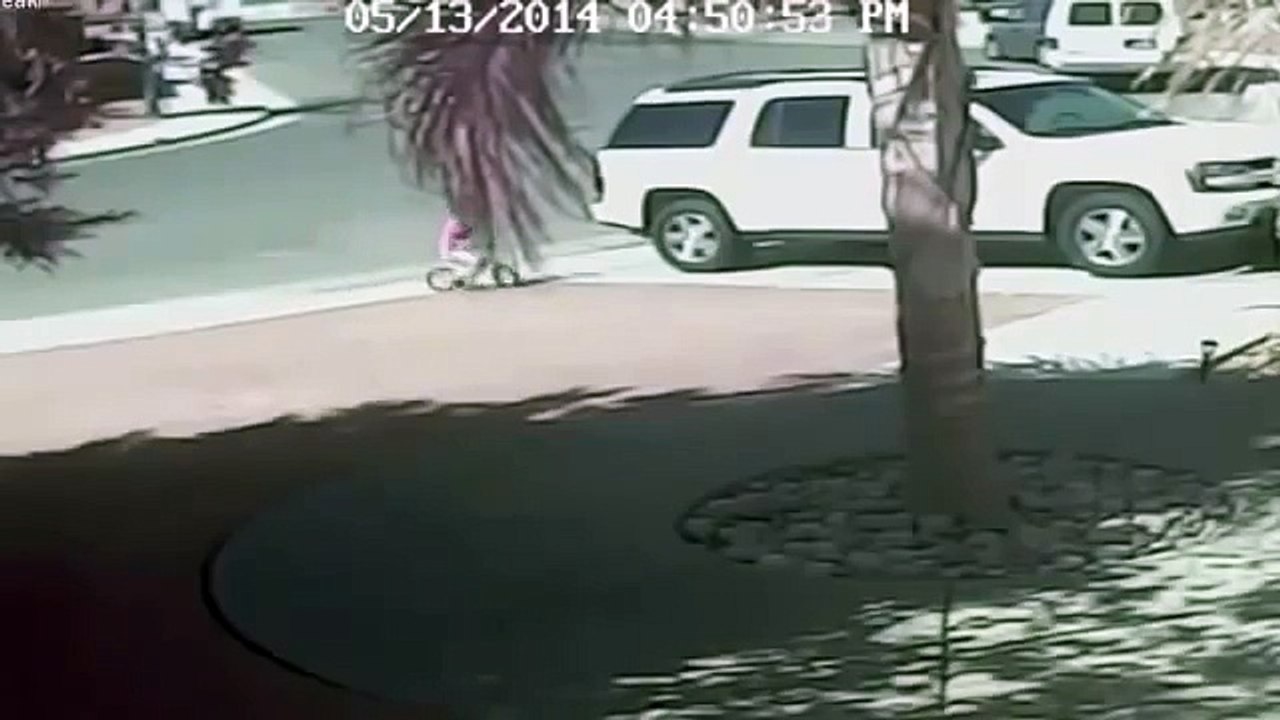 Кот спас 4-х летнего ребенка от нападения собаки! Ставь класс этому коту