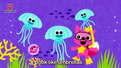 Under the Sea | Animal Songs | PINKFONG Songs for Children