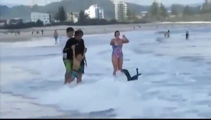 Birds Running after life from powerful water